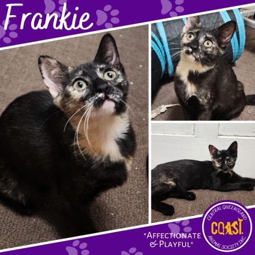 Frankie