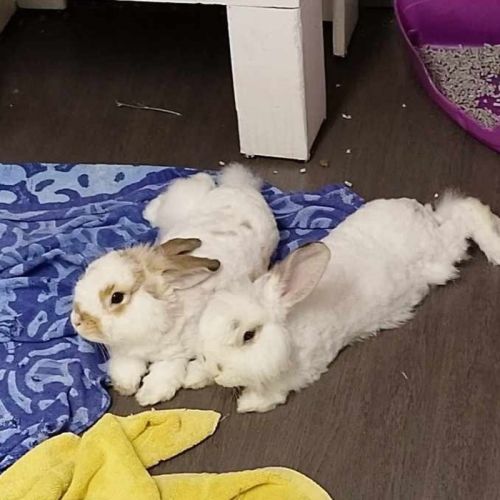 No photo for Benny & Bicky