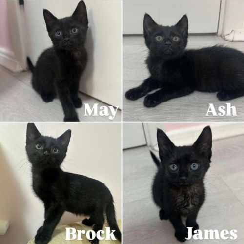 11629/30 - May & Ash