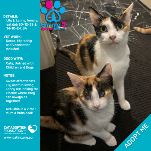 Lily & Lenny 2 for 1 Mum & Bubs Deal!