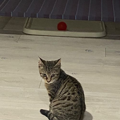 No photo for Bertie Botts (Of Harry Potter Fame)