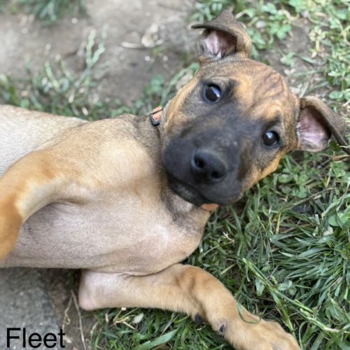 🏘️ English Streets Litter (Part 1) 🏘️