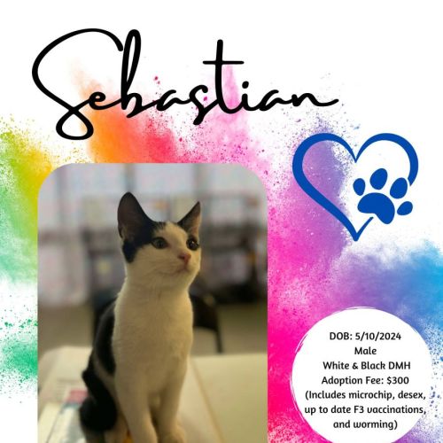 Sebastian
