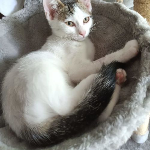 Sacha - Now at PET Quarters Rutherford