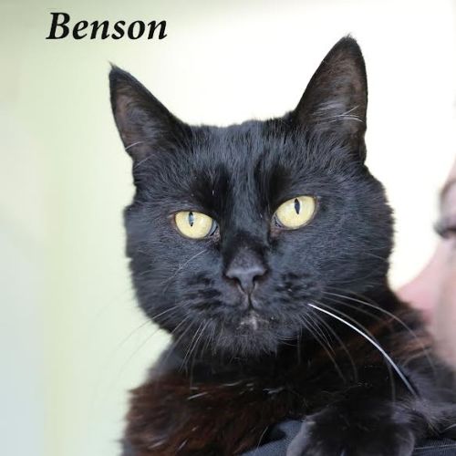 Benson