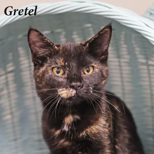 Gretel