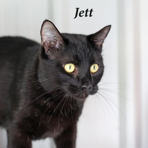 Jett