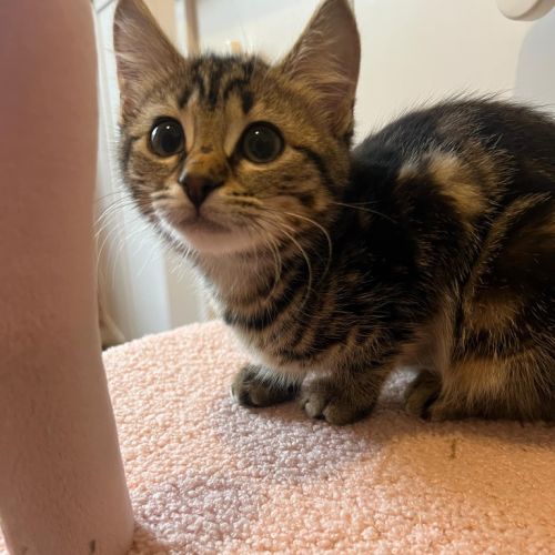 Winnie