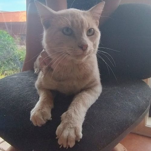 Max meet me@Petstock Hastings store