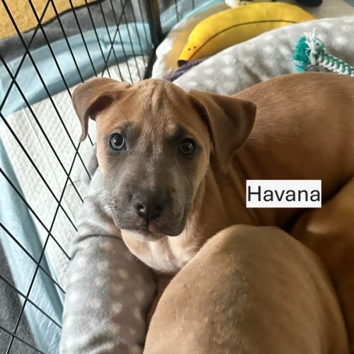 ⛰️ Coromandel's litter (Part 1) ⛰️