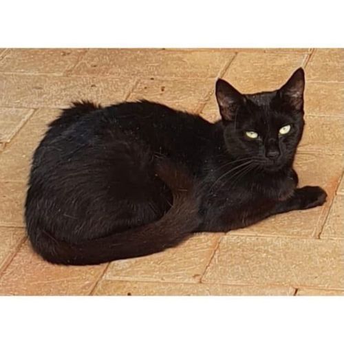 No photo for 8396 Lila