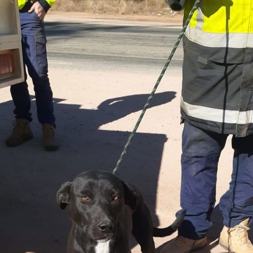 Good Golly Miss Molly