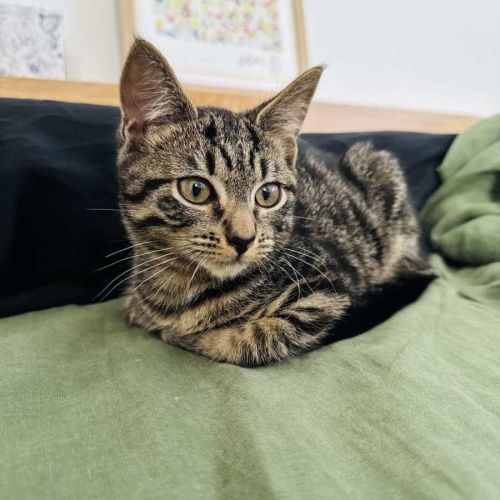 Beans - Located in Northcote