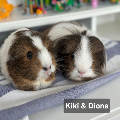 Diona & Kiki