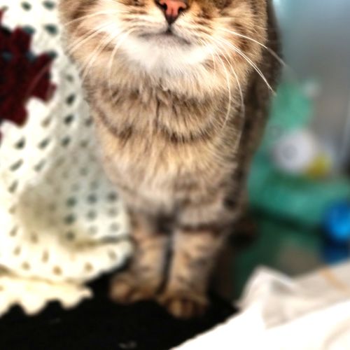 Marty