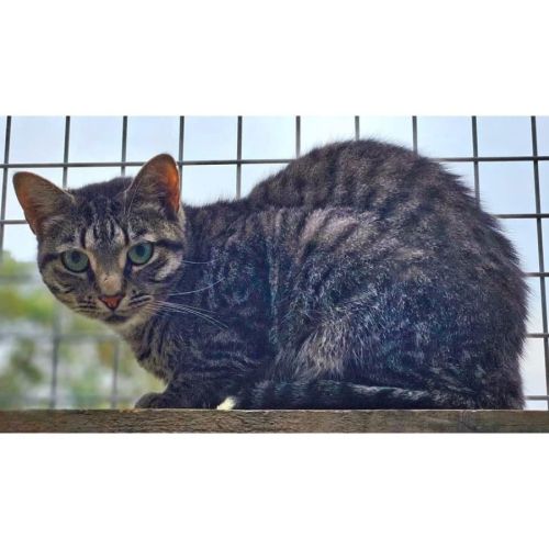 No photo for 7980   Grumps