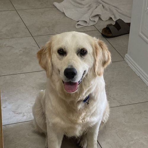 Penny