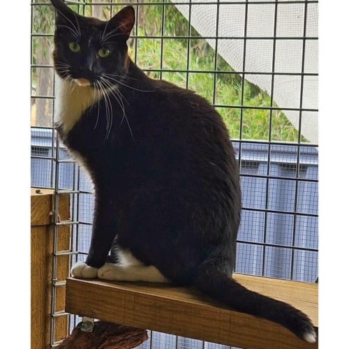 No photo for 8535   Maverick