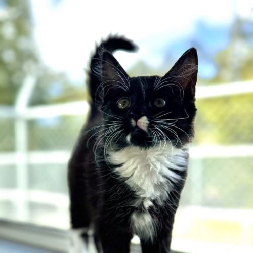 Lucy