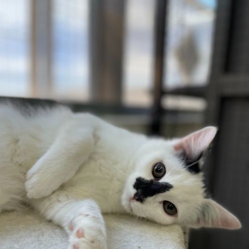 🗼 Gilly 5927 🗼