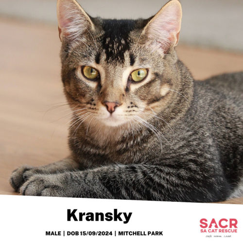 Kransky