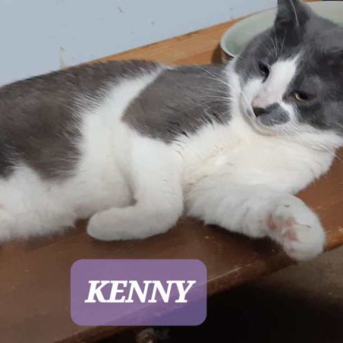 Kenny