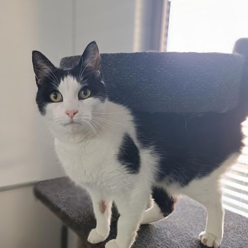 Max