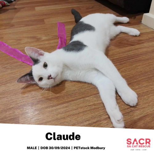 Claude
