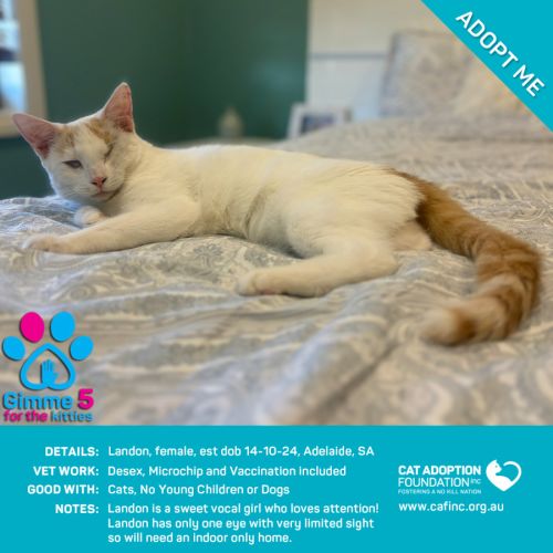 Landon Just $120 Fully Vetted!