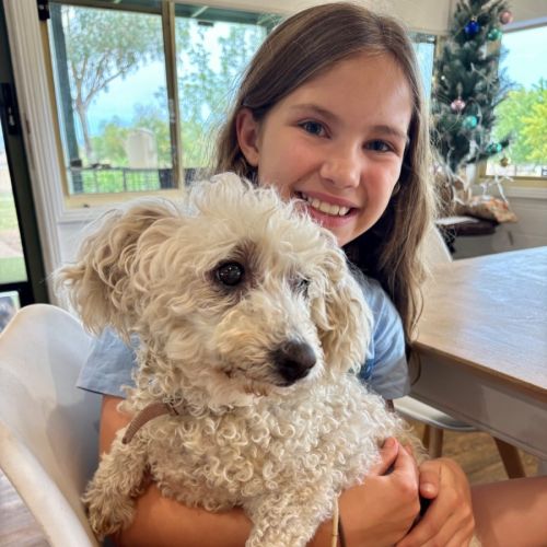 Beau (Beau and Angel) 