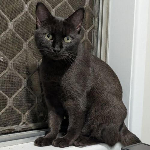 No photo for Morticia