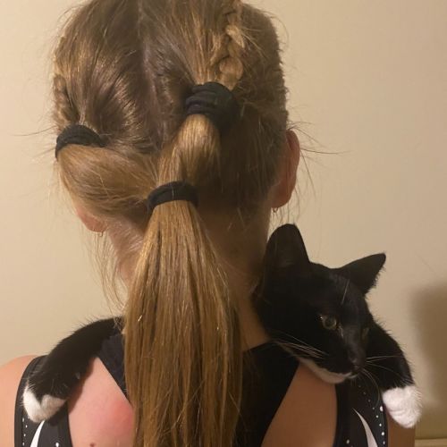 Sampson - Reduced Adoption Fee