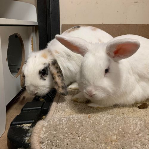 No photo for Tom & Jerry