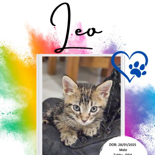 Leo