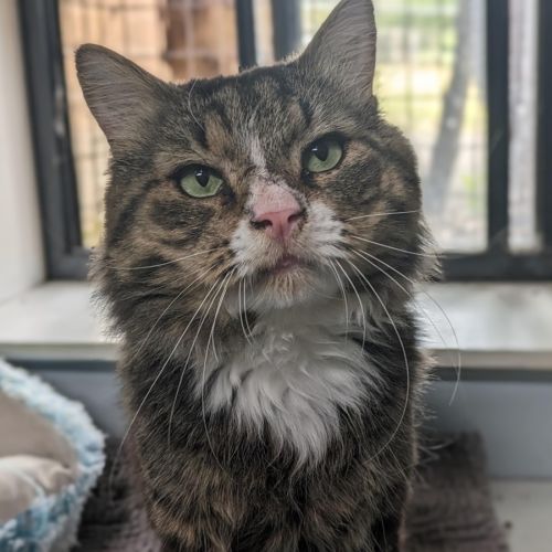 No photo for El Jefe