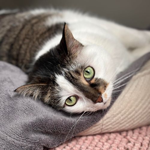 No photo for Mallory