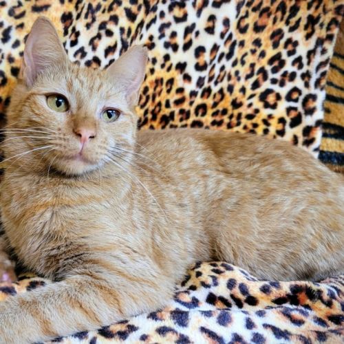 No photo for Janalee 