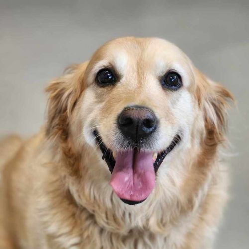 🧁 Sally 6057 🧁