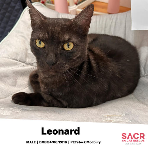 Leonard 