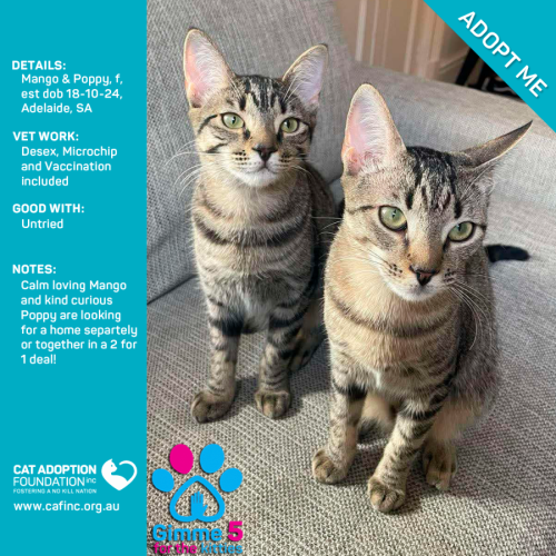 Poppy & Mango 2 for 1 Deal!