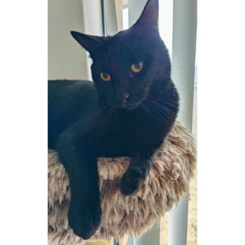 No photo for 8749   Diesel