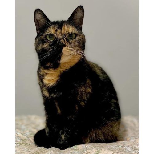 No photo for 9291   Monika