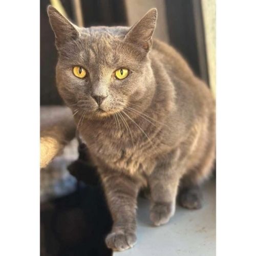 No photo for 5689   Bermuda 