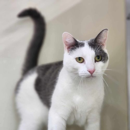 🍬 Gretel 5723 🍬