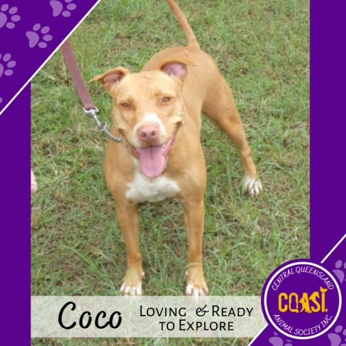 Coco