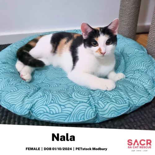 Nala