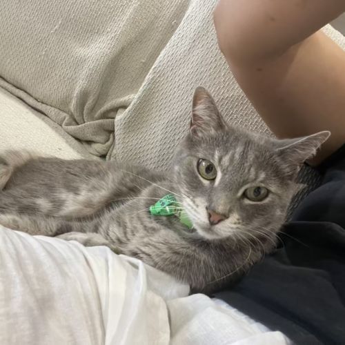 No photo for Bee & Storm