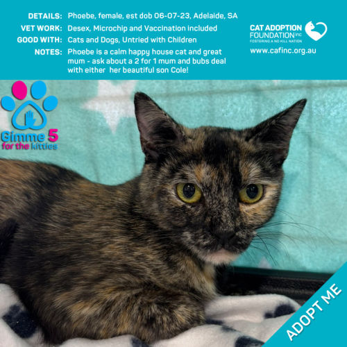 Phoebe 2 for 1 Mum & Bubs Deal Available!