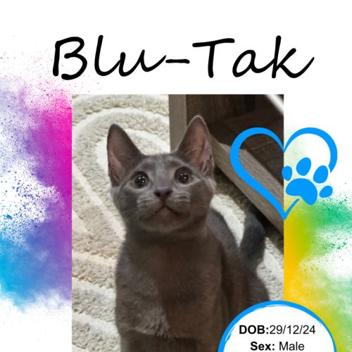 Blu-Tak