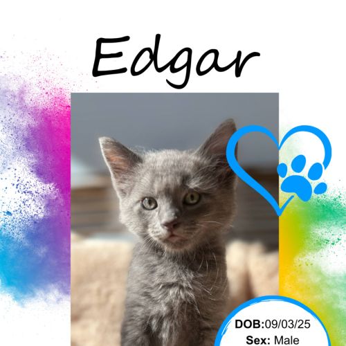Edgar